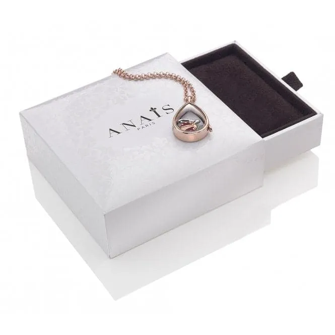 Hot Diamonds Anais Rose Gold Plated Sterling Silver January Charm AC033
