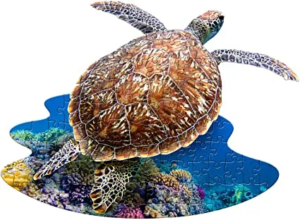 I AM LIL' SEA TURTLE Puzzle